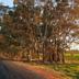 Outdoor view