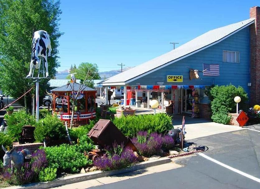 Outdoor view Photo