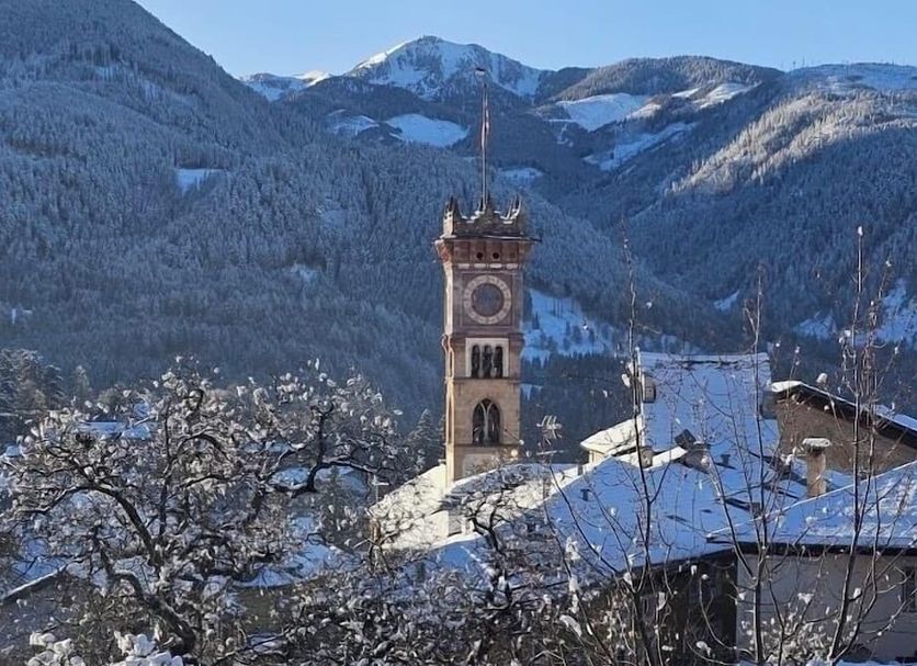 Other Photo