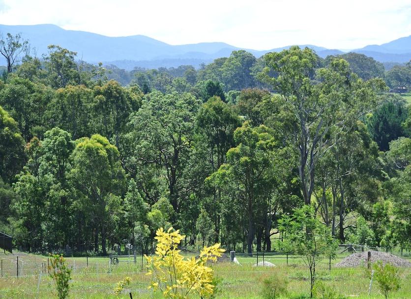 Outdoor view Photo