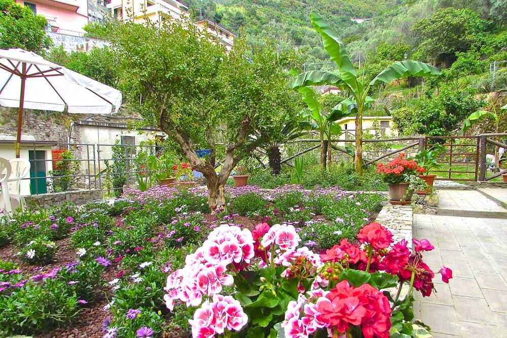 Outdoor view
