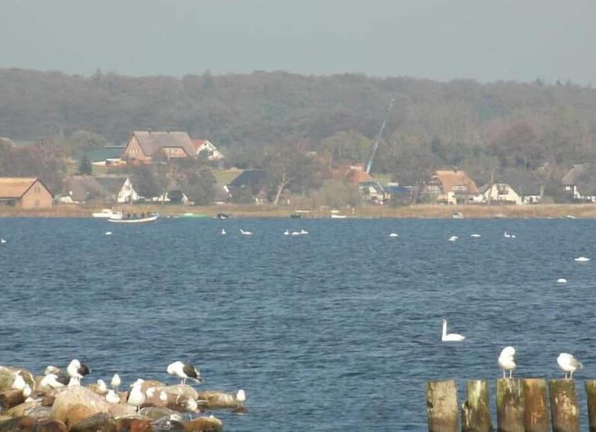 Other Photo