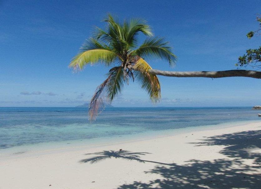 Beach Photo