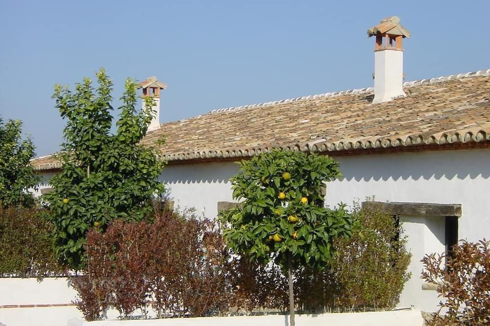 Outdoor view