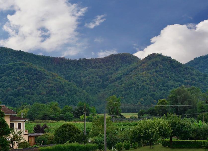 Outdoor view Photo