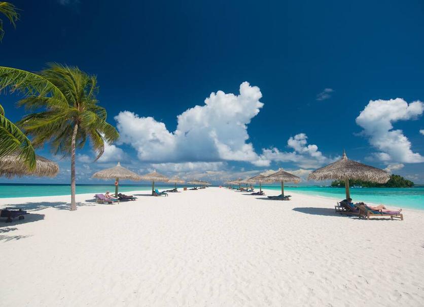 Beach Photo