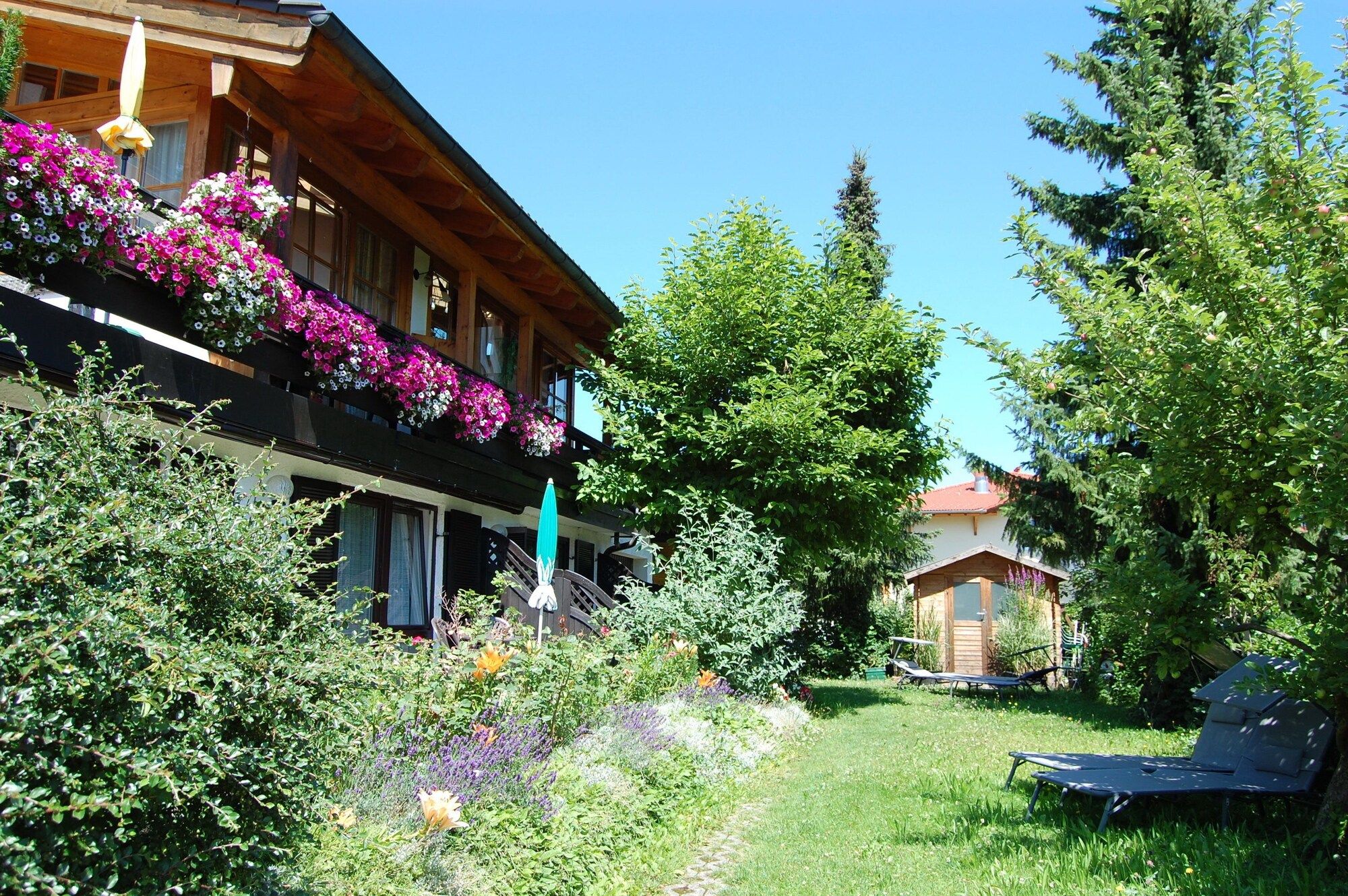 Outdoor view