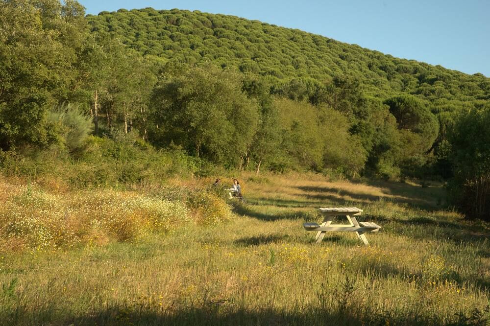 Outdoor view
