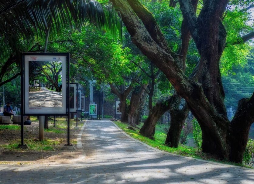Outdoor view Photo