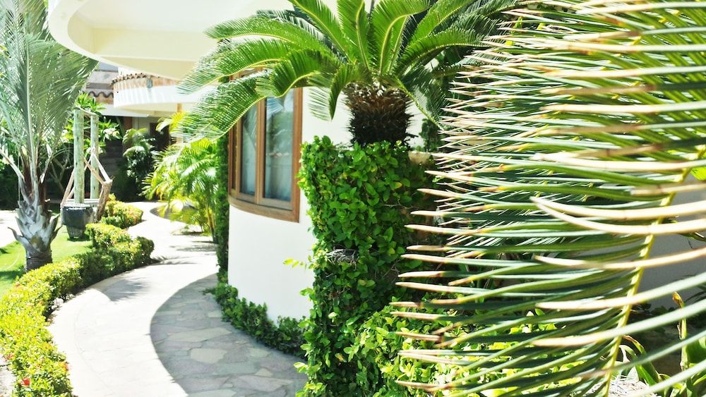 Outdoor view