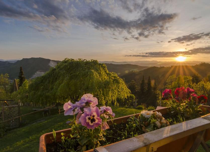 Outdoor view Photo