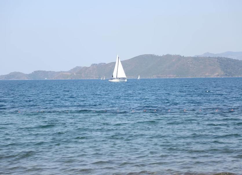 Other Photo