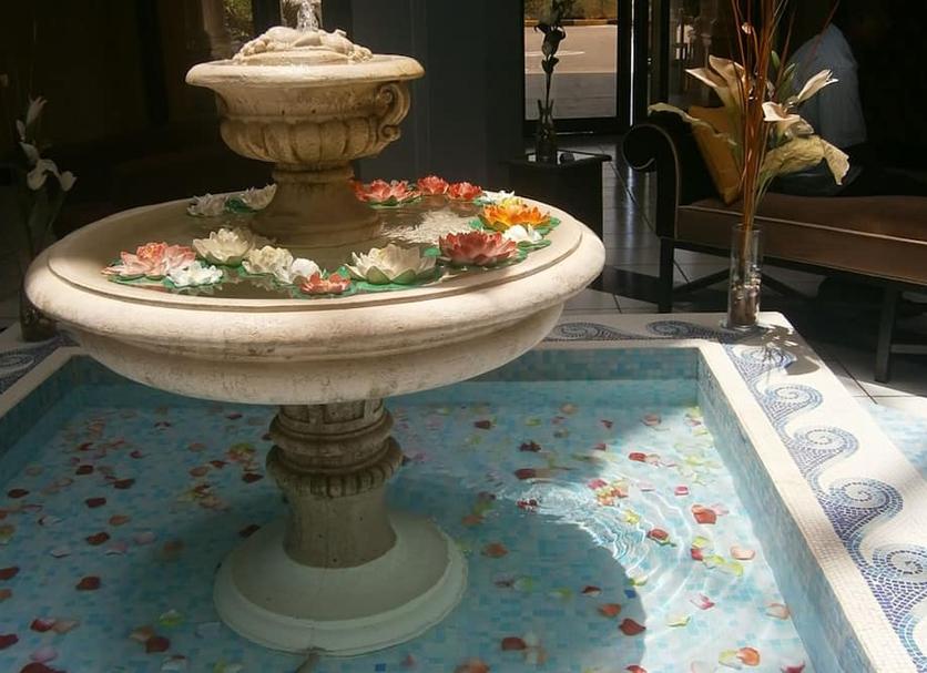 Other Photo