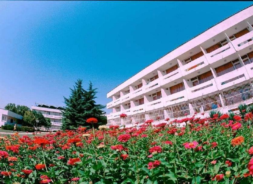 Other Photo