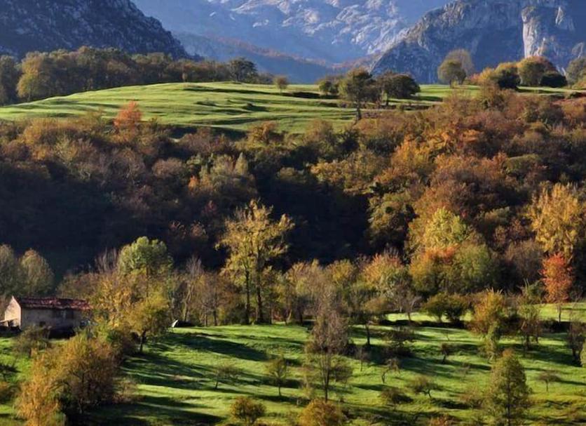 Outdoor view Photo