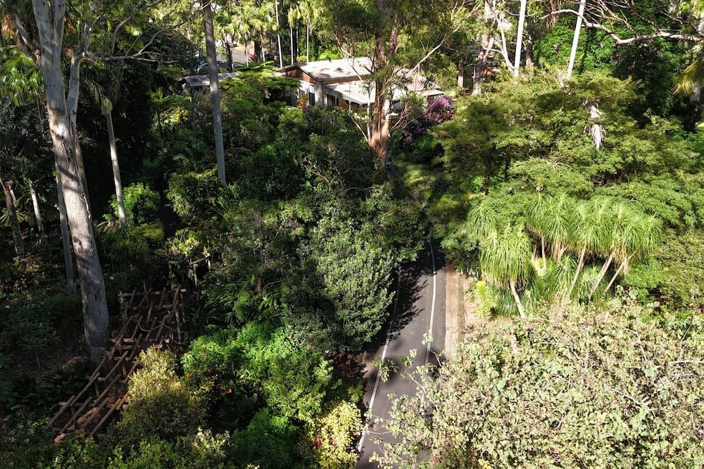 Outdoor view