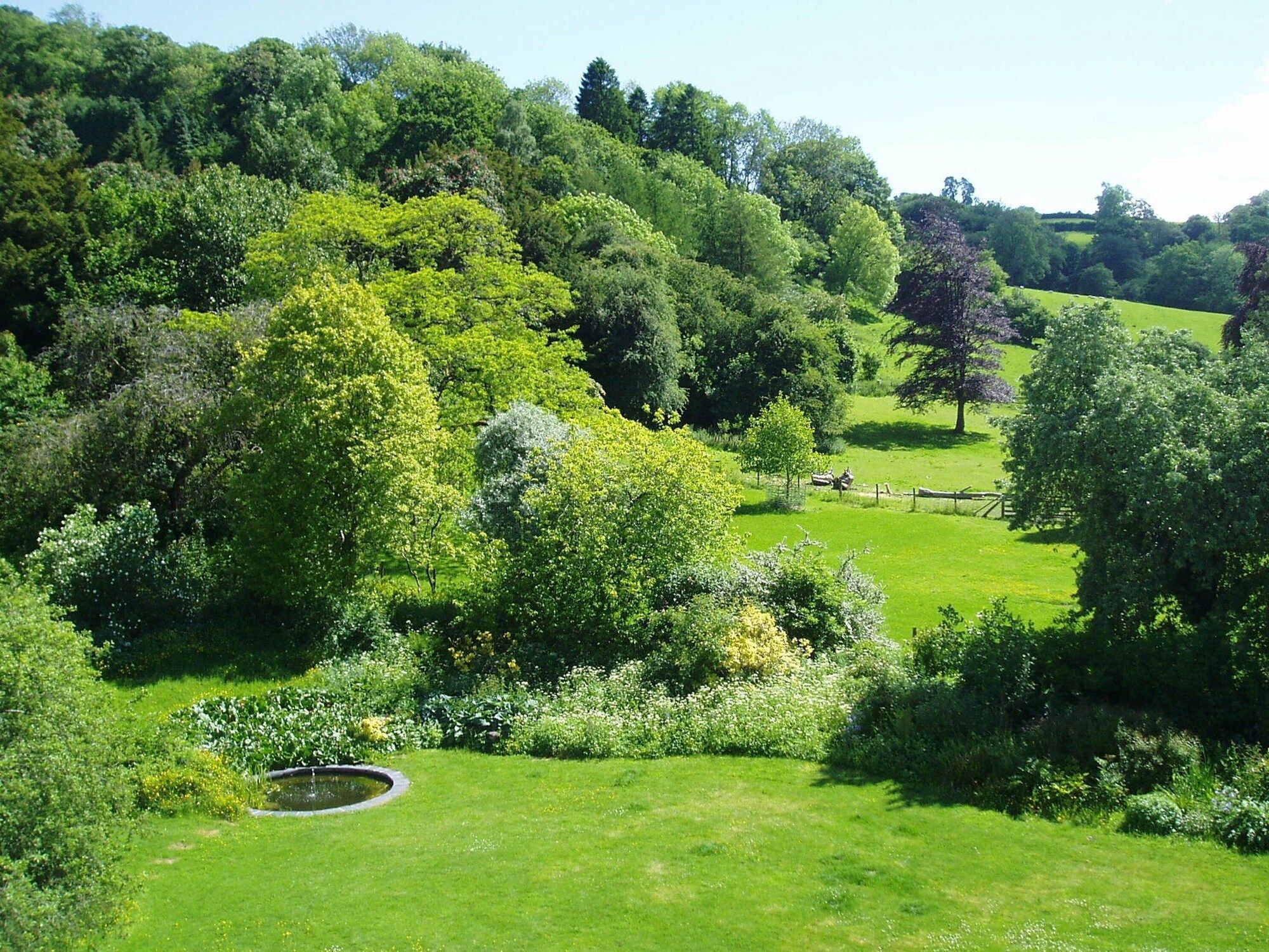 Outdoor view