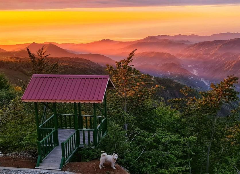 Outdoor view Photo