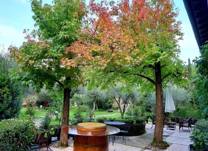 Patio Photo