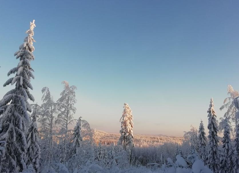 Outdoor view Photo