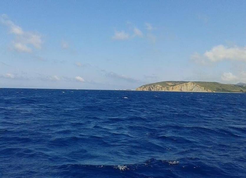 Other Photo
