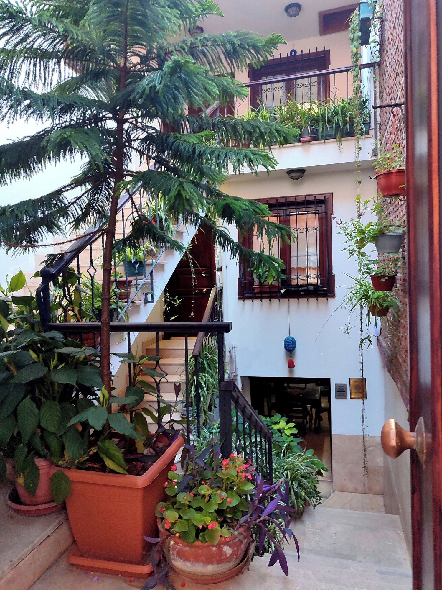Outdoor view