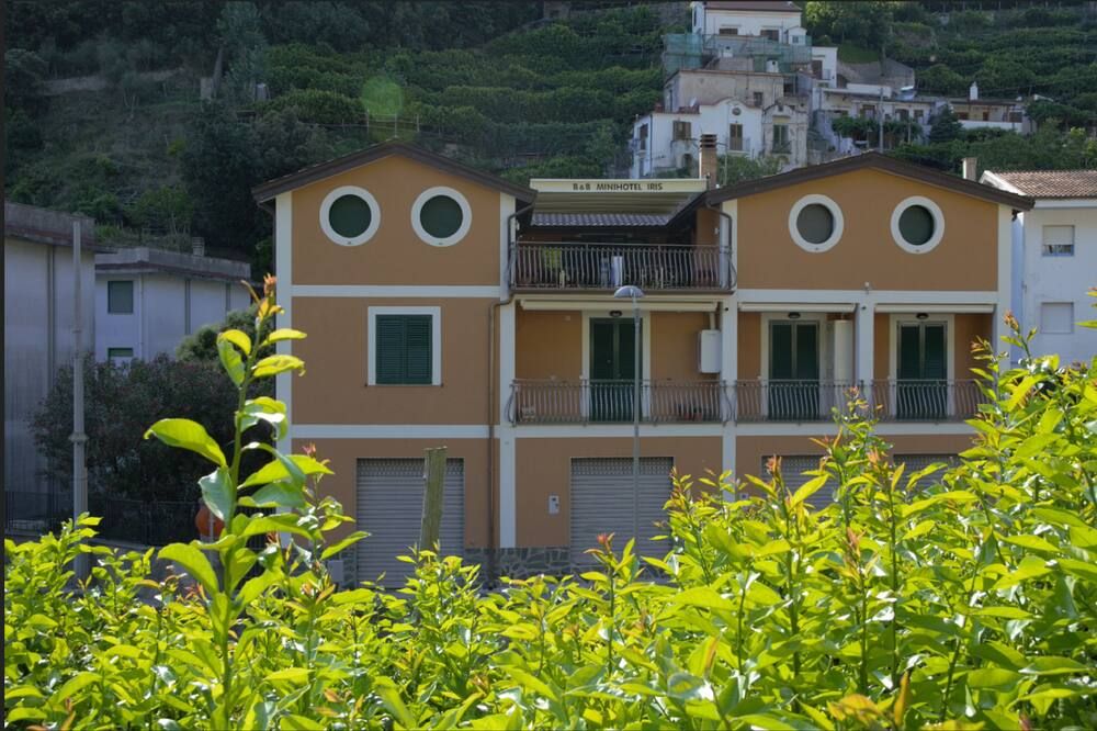 Outdoor view