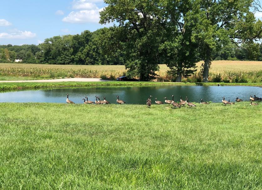 Outdoor view Photo