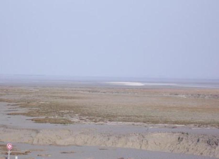 Other Photo