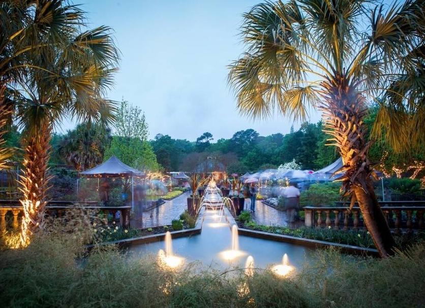 Attractions Photo