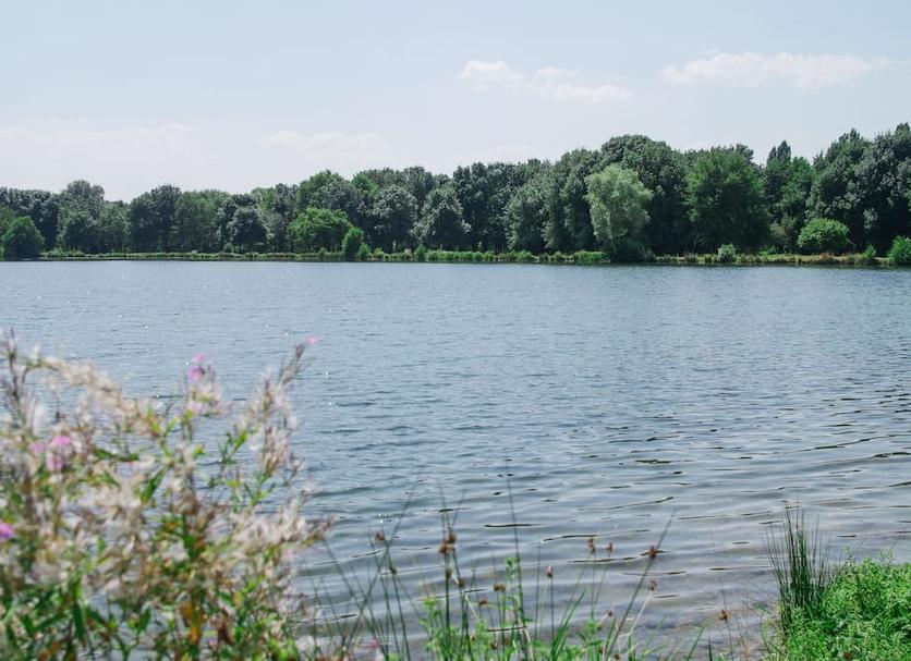 Other Photo