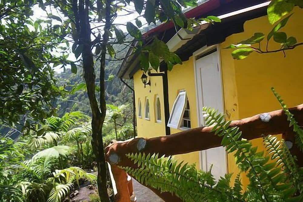 Outdoor view