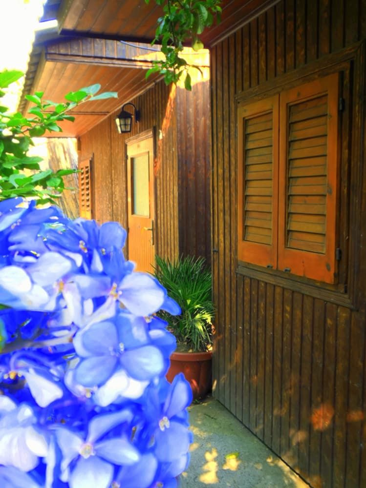 Outdoor view