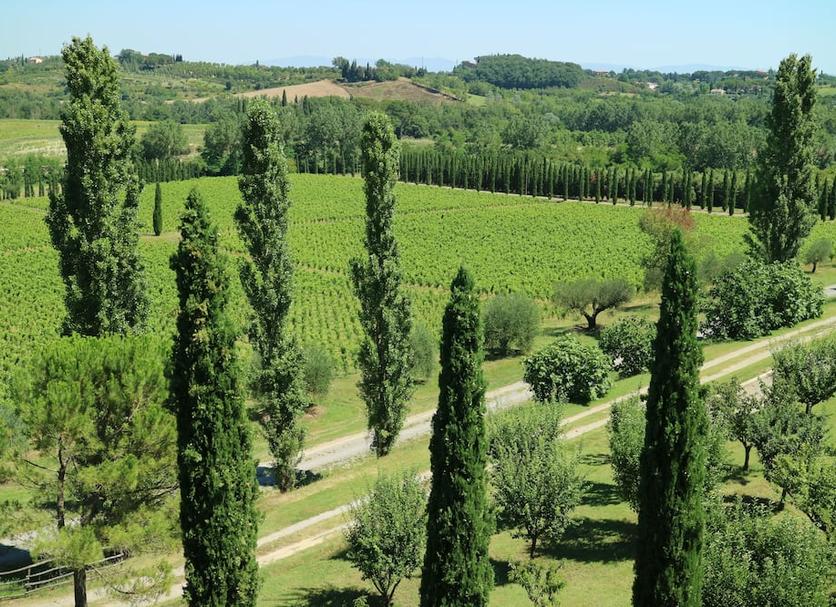 Outdoor view Photo