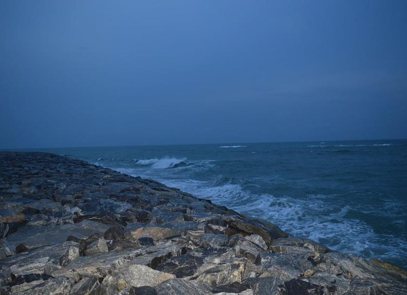 Other Photo