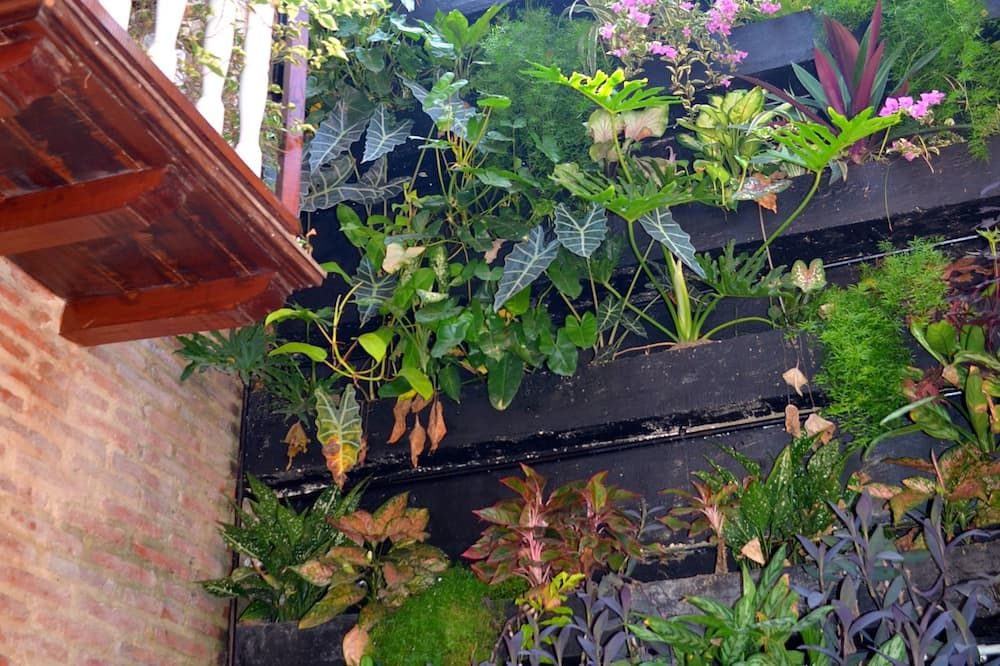 Outdoor view