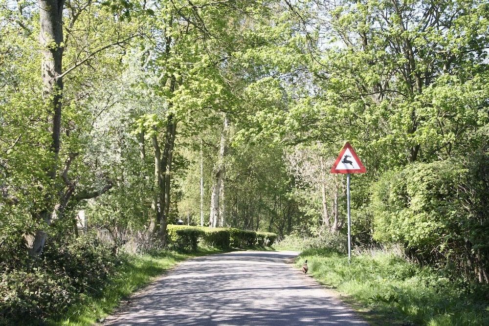 Outdoor view