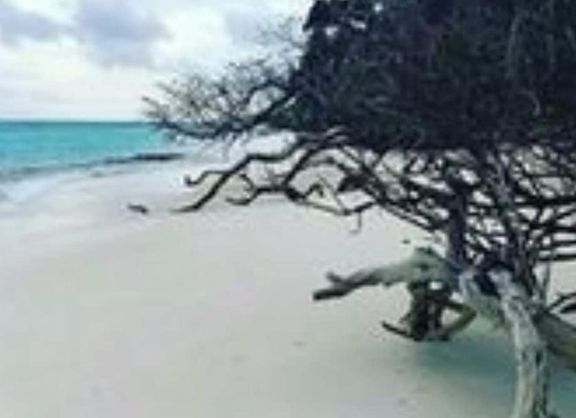 Beach Photo