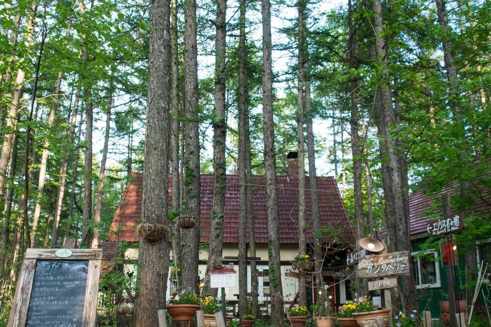 Outdoor view