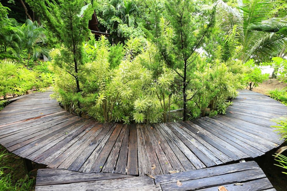 Outdoor view