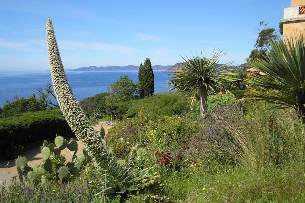 Outdoor view