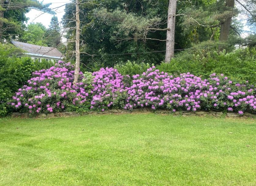 Outdoor view Photo