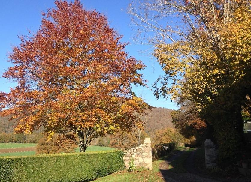 Outdoor view Photo