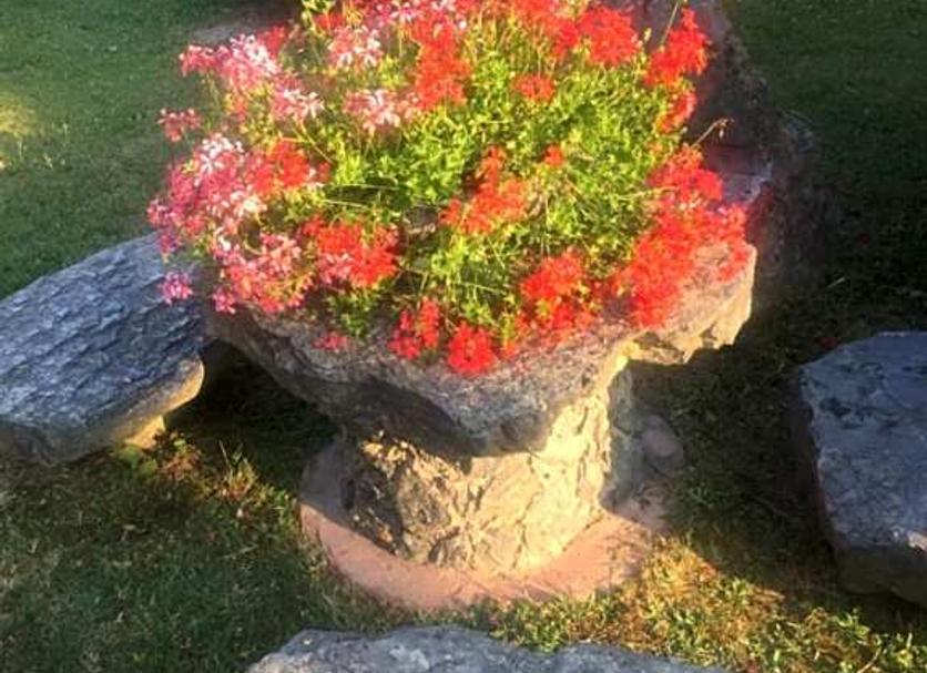 Outdoor view Photo