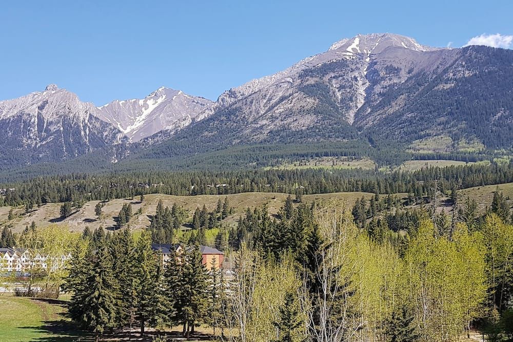 Outdoor view