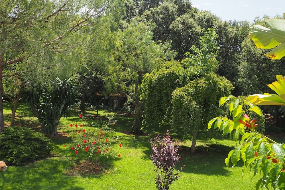 Outdoor view