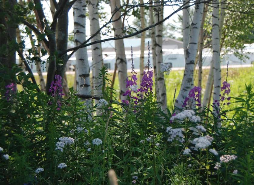 Outdoor view Photo
