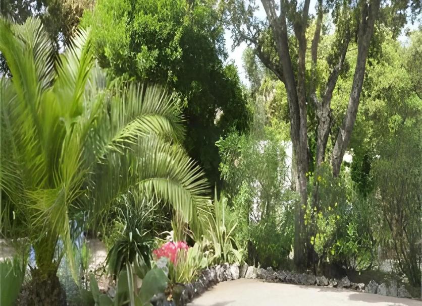 Outdoor view Photo