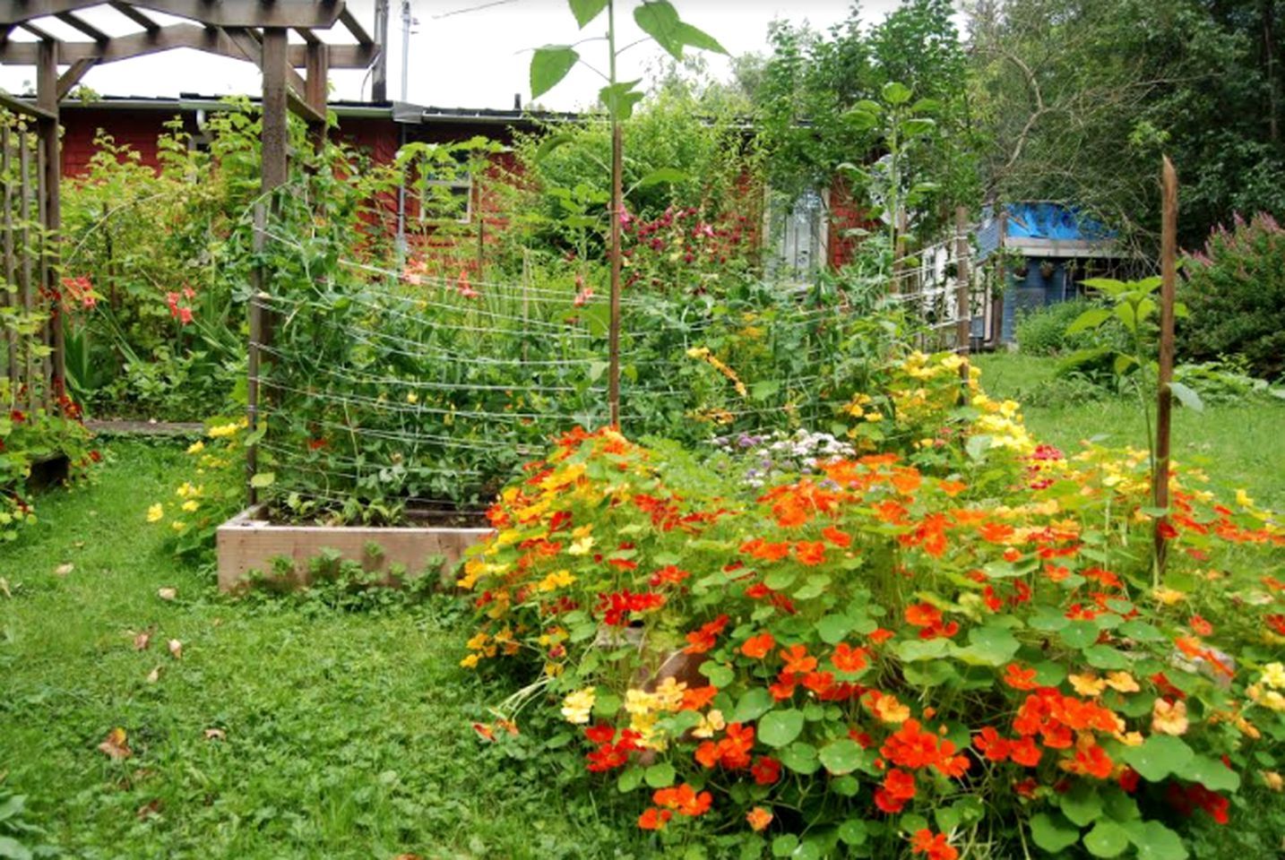 Outdoor view