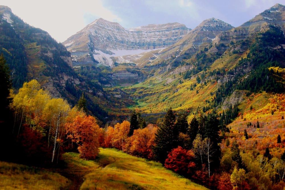 Outdoor view